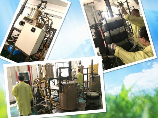 Thermomètre liquide clinique à large gallium FN-W Certification CE
